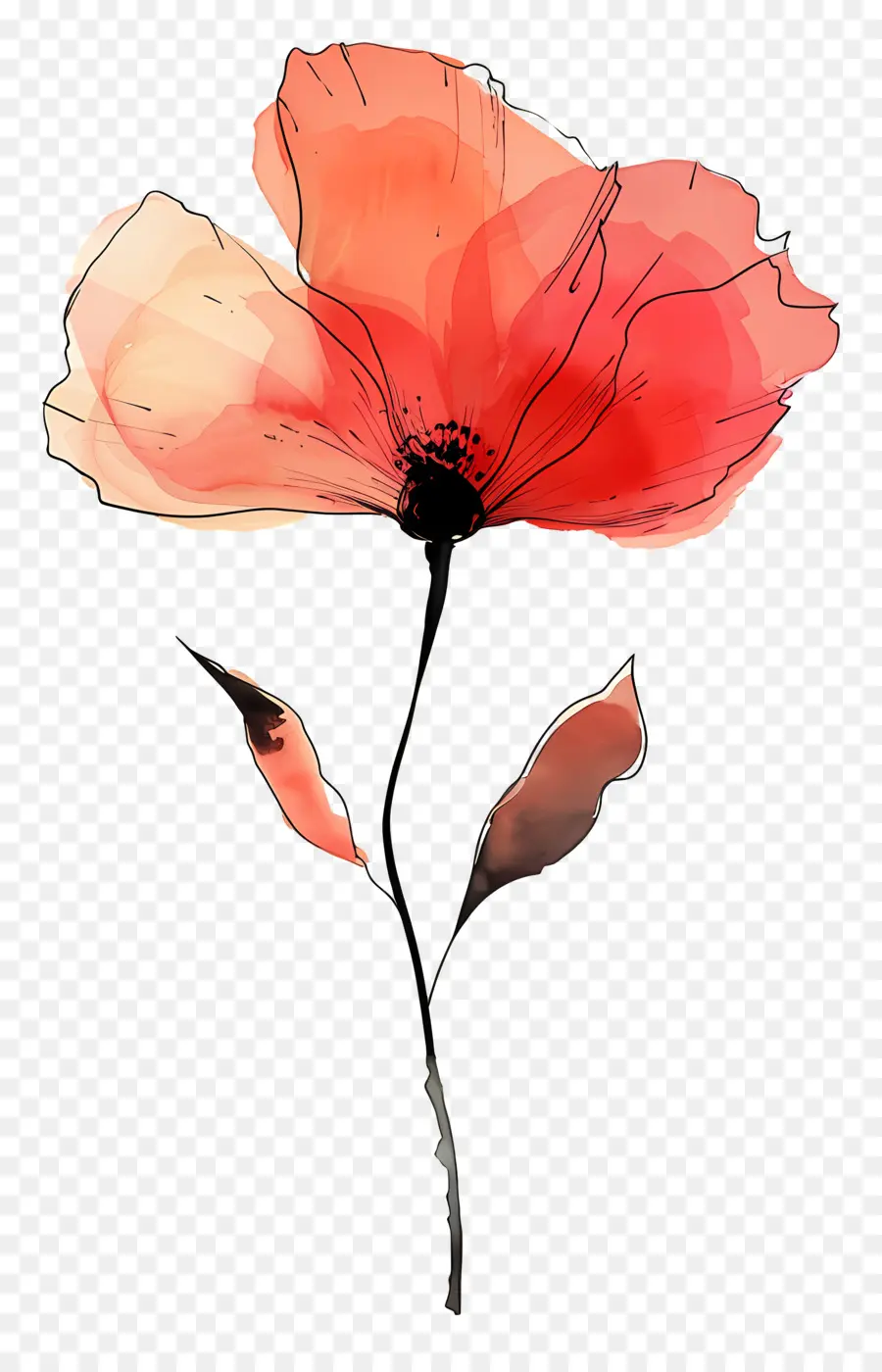 акварель цветок，красный Мак PNG
