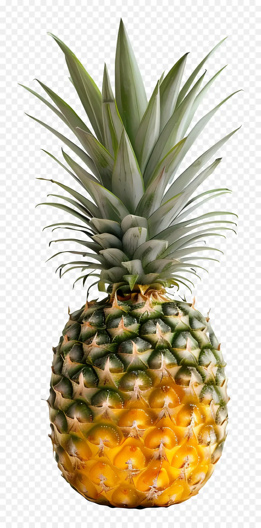 Pineapple，Тропические фрукты PNG