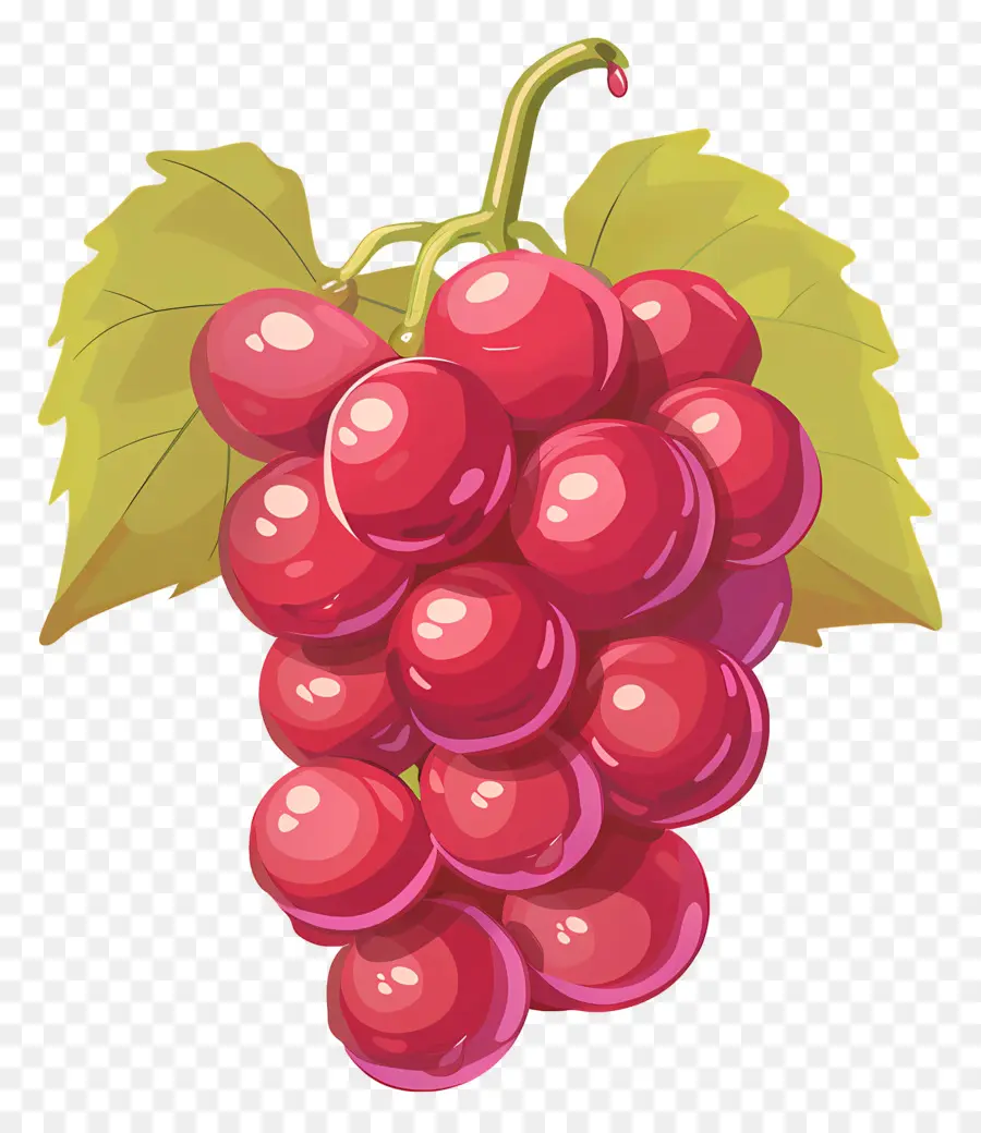 красный виноград，свежие PNG