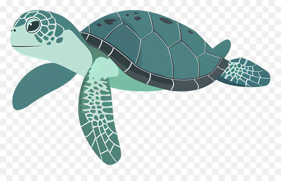черепаха，зеленая черепаха PNG