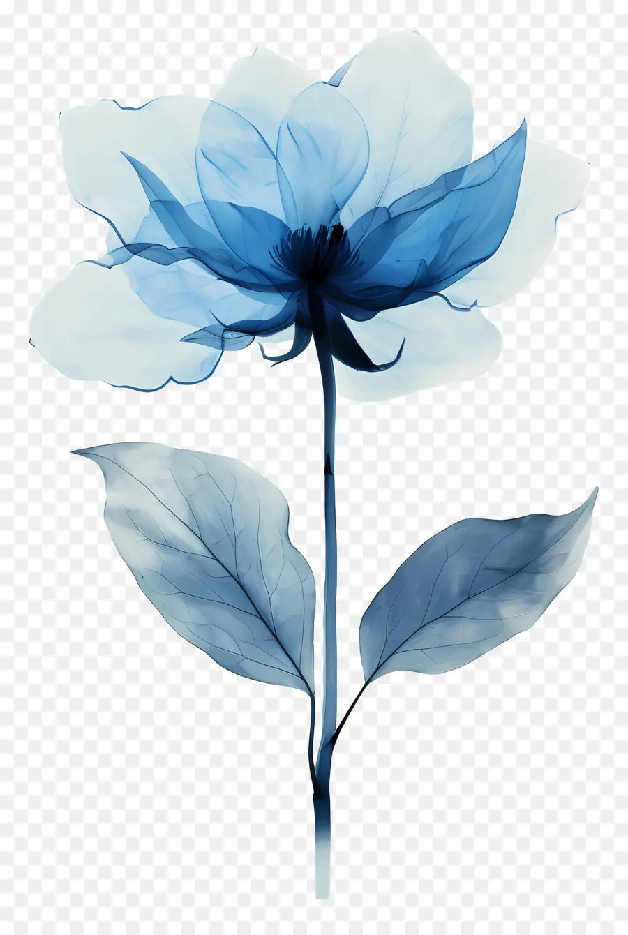Голубой цветок，цветок PNG