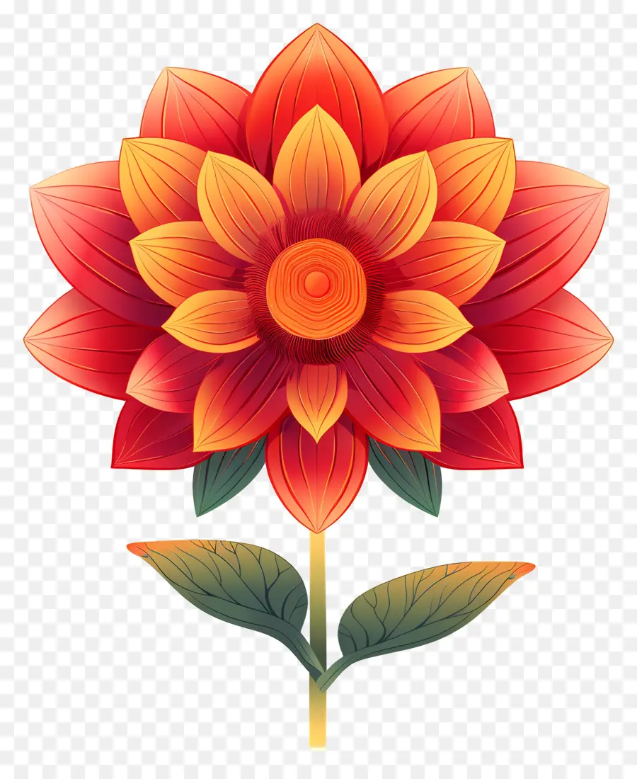 Цвет，цветок PNG