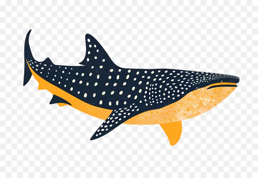 Китовая акула，Молотоголовая акула PNG