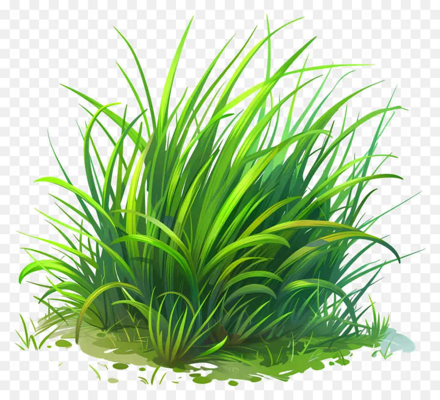 зеленая трава，высокая трава PNG