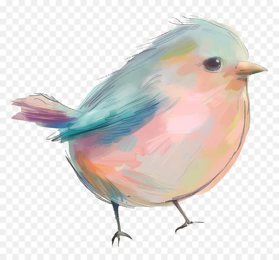 Doodle Bird，Птица PNG