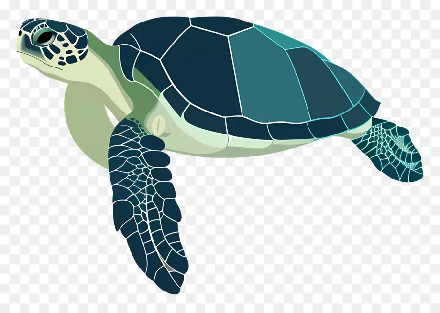 черепаха，Морская черепаха PNG
