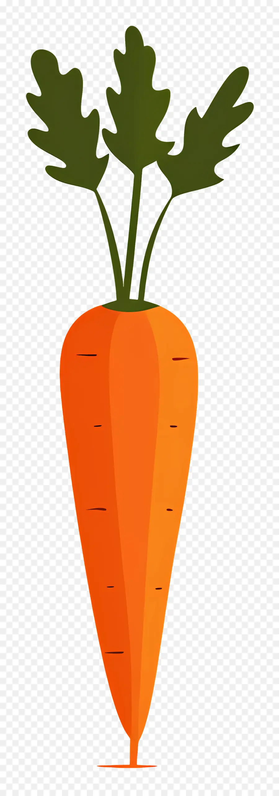 Морковный，корнеплод PNG