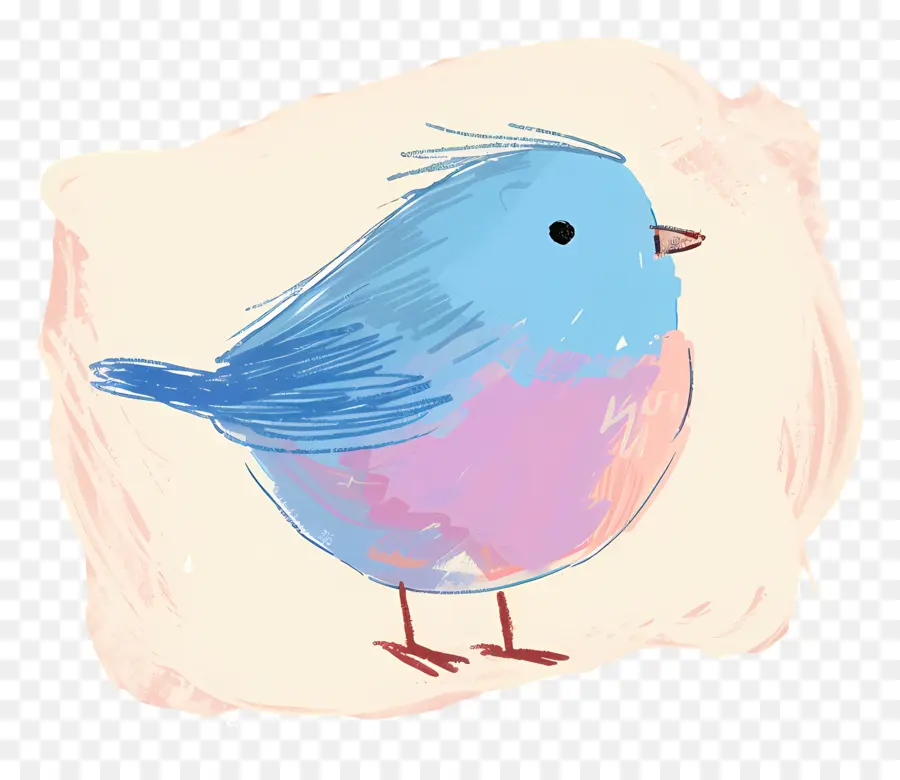 Синяя птица，красочные птицы PNG