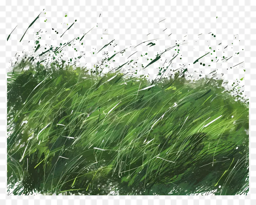 трава поле，зеленая трава PNG