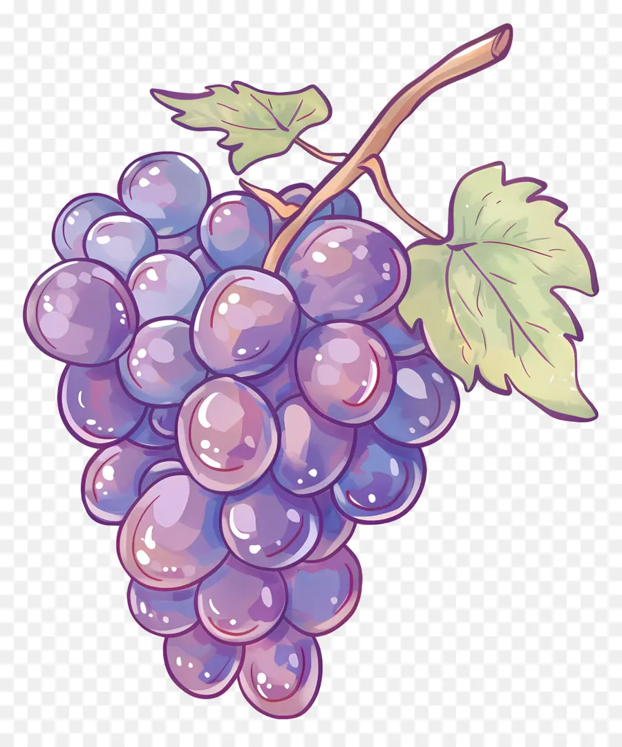 Grapes，фиолетовый виноград PNG