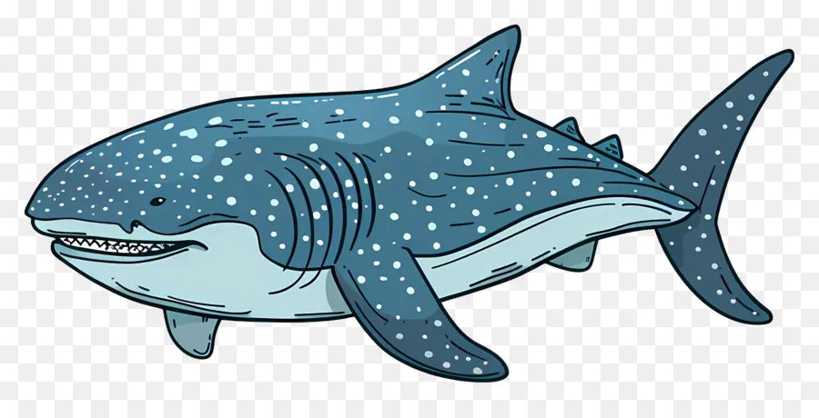Китовая акула，мультфильм акула PNG