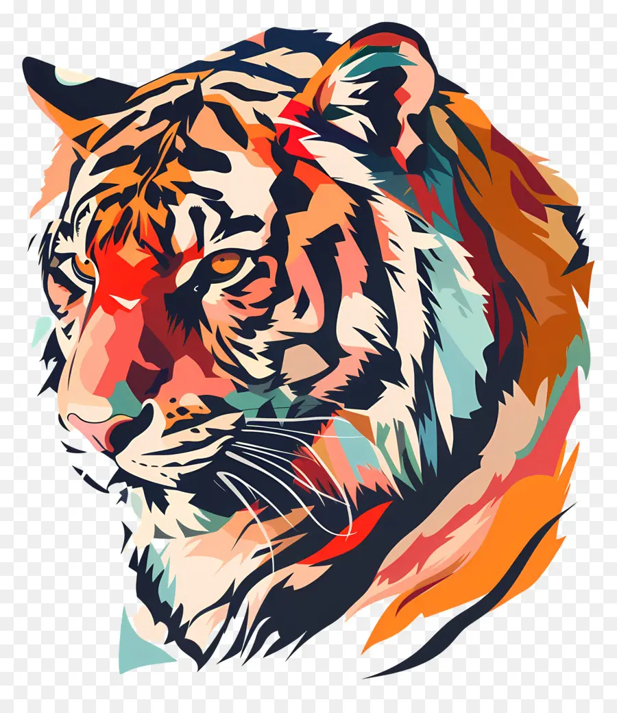 Тигр，дикой природы PNG