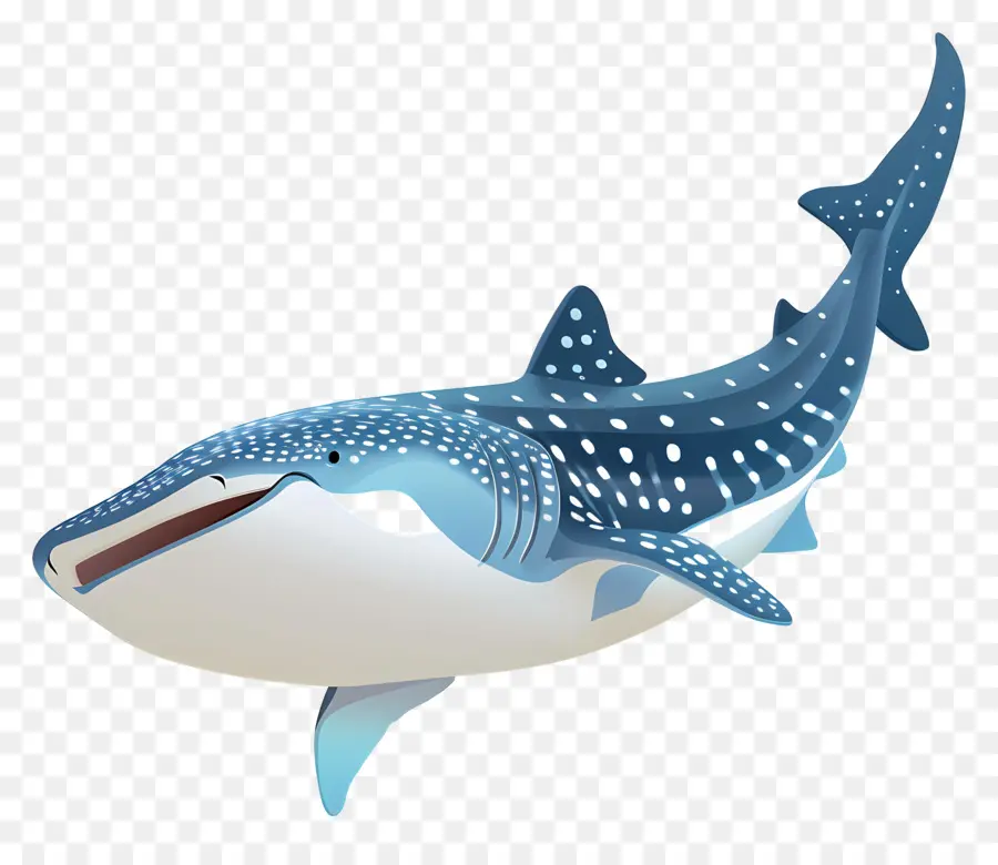 Китовая акула，морская жизнь PNG