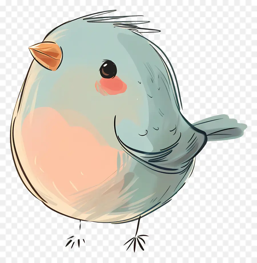 мультфильм птица，Синие перья PNG