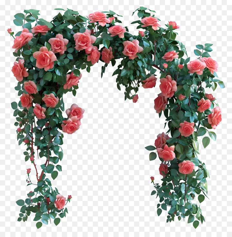 Сад роз，Цветочная арка PNG