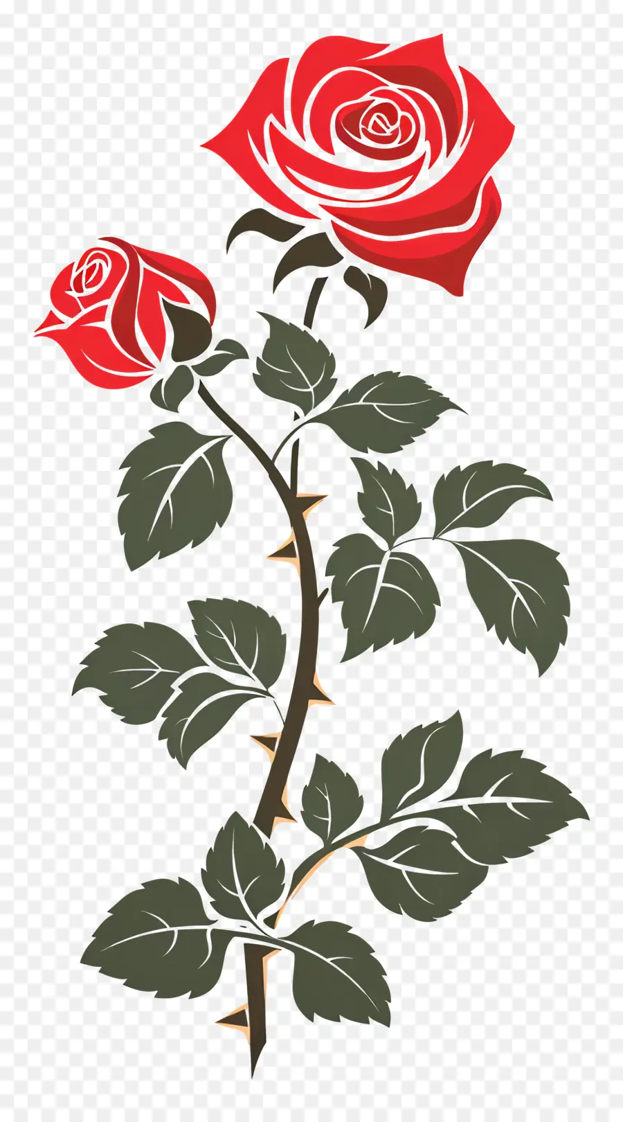 Сад роз，Роза PNG