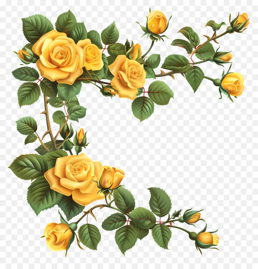 Сад роз，желтые розы PNG