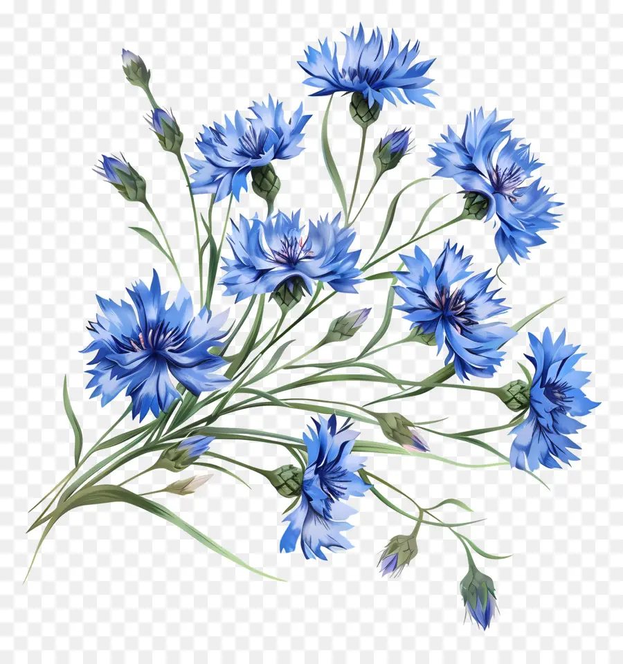 Синие кукурузные потоки，синие цветы PNG