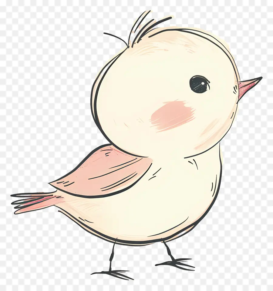 мультфильм птица，маленькая птичка PNG
