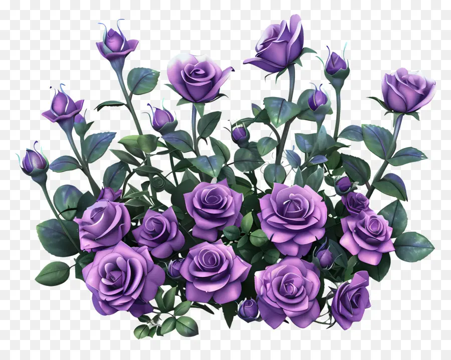 Сад роз，фиолетовые розы PNG
