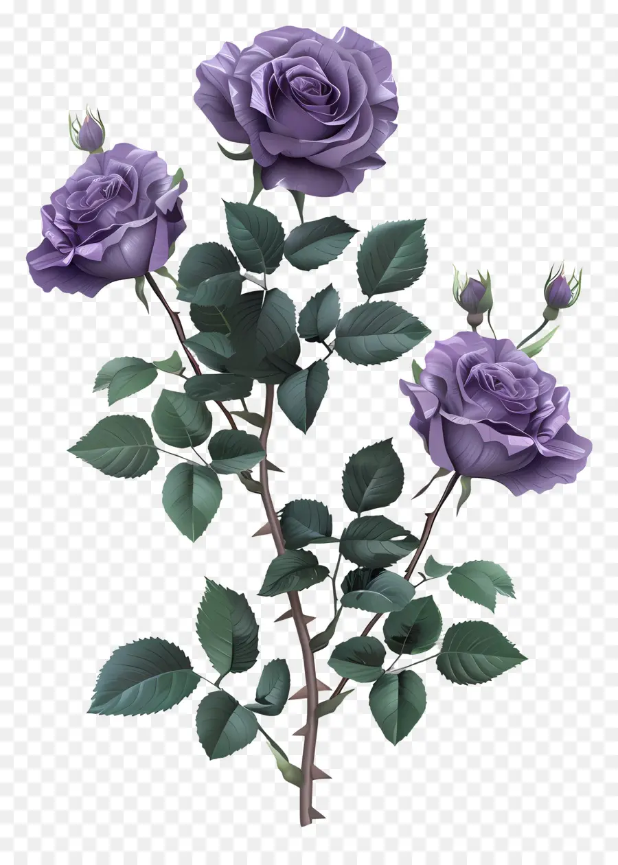 Сад роз，фиолетовый букет роз PNG