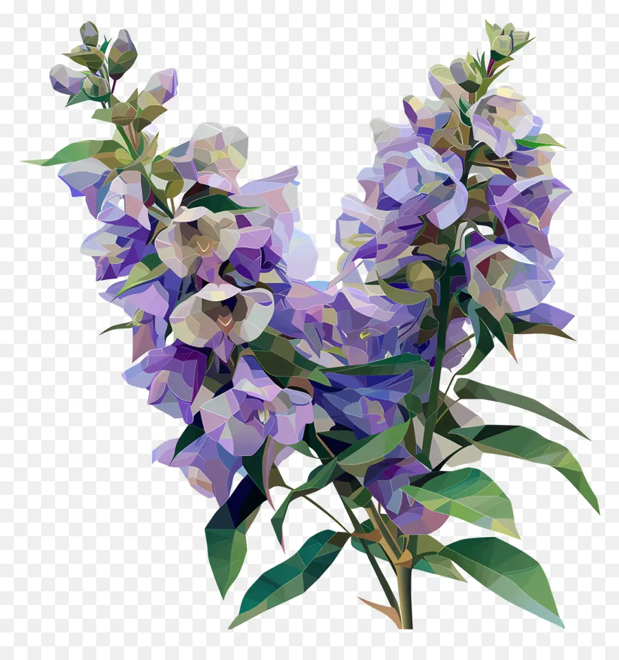 цифровой цветок，фиолетовое растение PNG