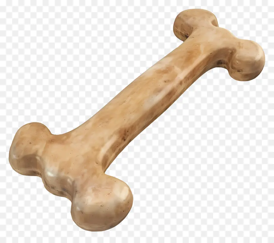 собака кости，полированная кость PNG