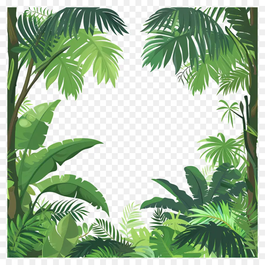 фон джунглей，Tropical Forest PNG