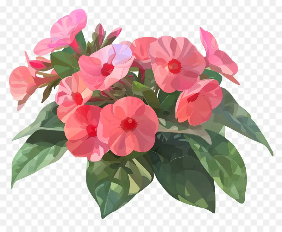 Цифровое цветочное искусство，Розовый цветок Гербера PNG