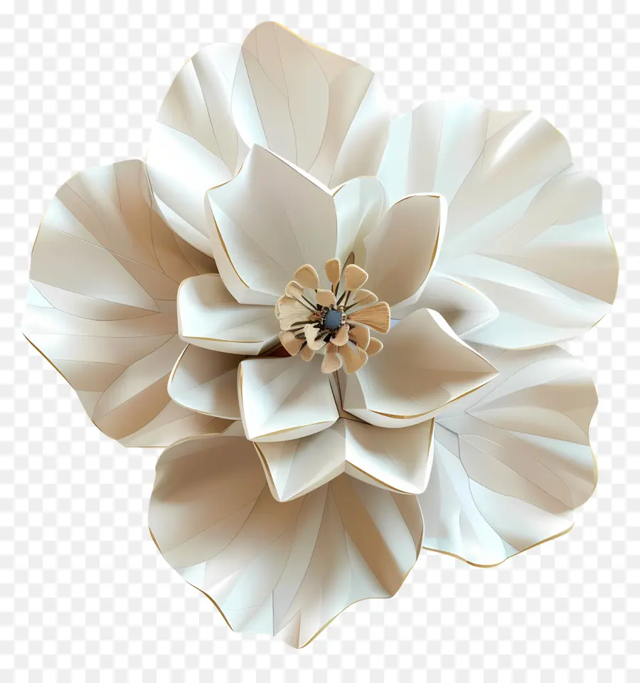 цифровой цветок，белый цветок PNG