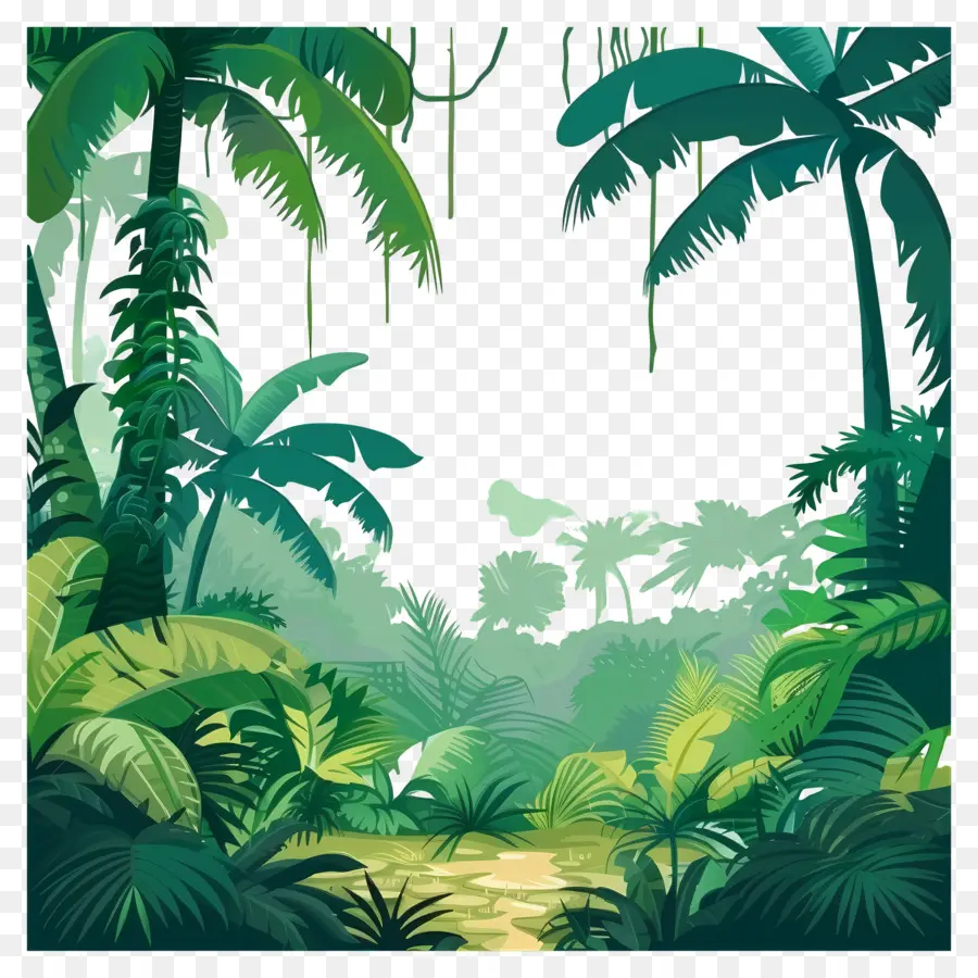 фон джунглей，джунгли PNG