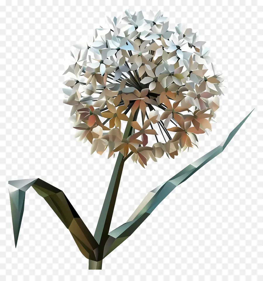 цифровой цветок，Белый лук PNG