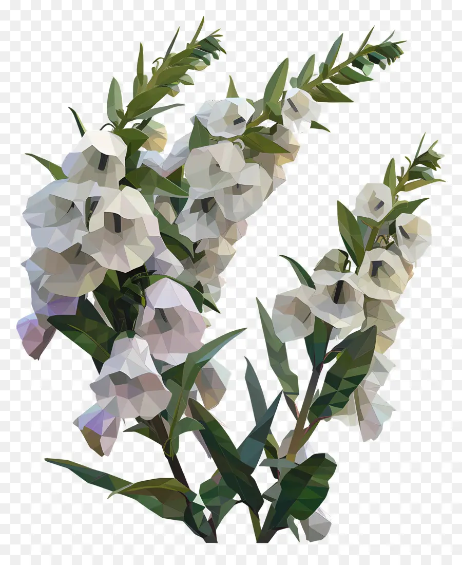 цифровой цветок，цветок цвет PNG
