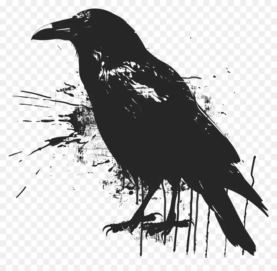 силуэт ворона，черная птица PNG