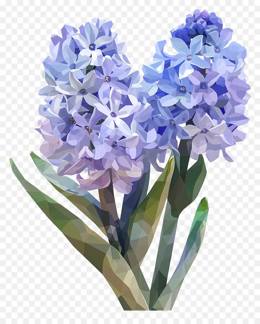 цифровой цветок，Синие гиацинты PNG