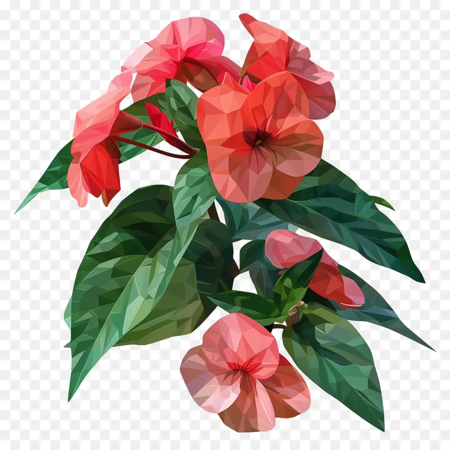 Цифровое цветочное искусство，Розовые цветы PNG