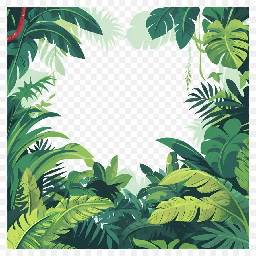 фон джунглей，тропический PNG