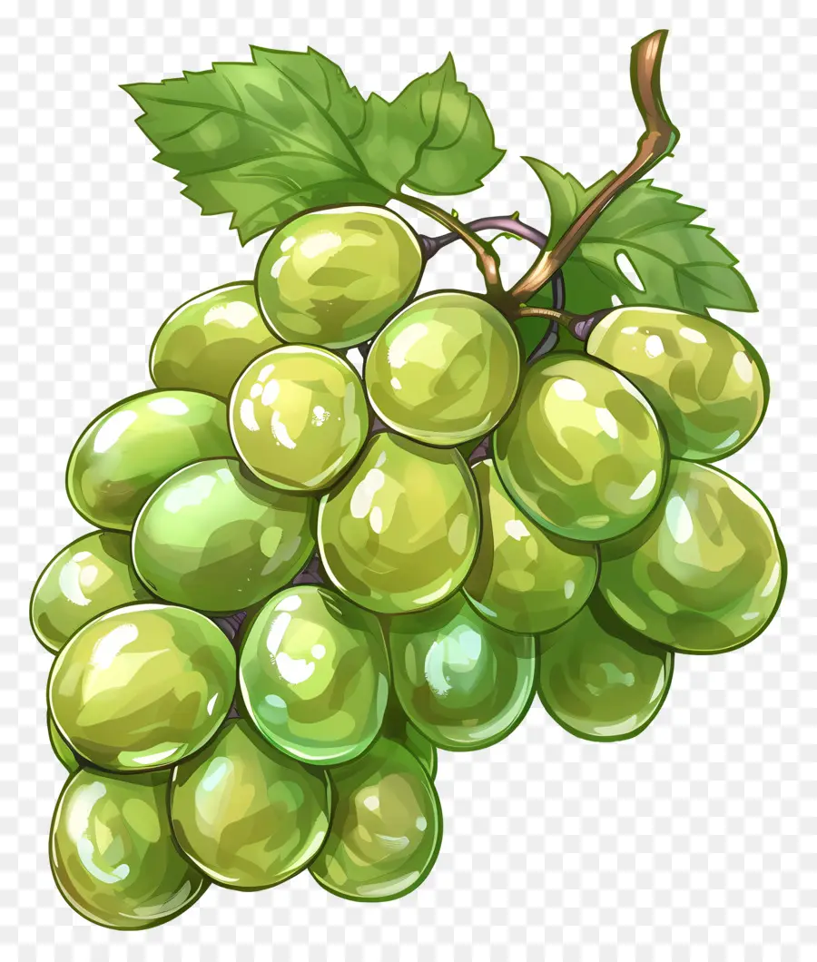 Зеленый виноград，Фрукты PNG