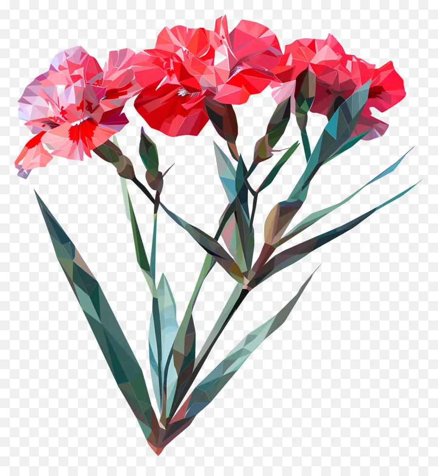 цифровой цветок，красные гвоздики PNG