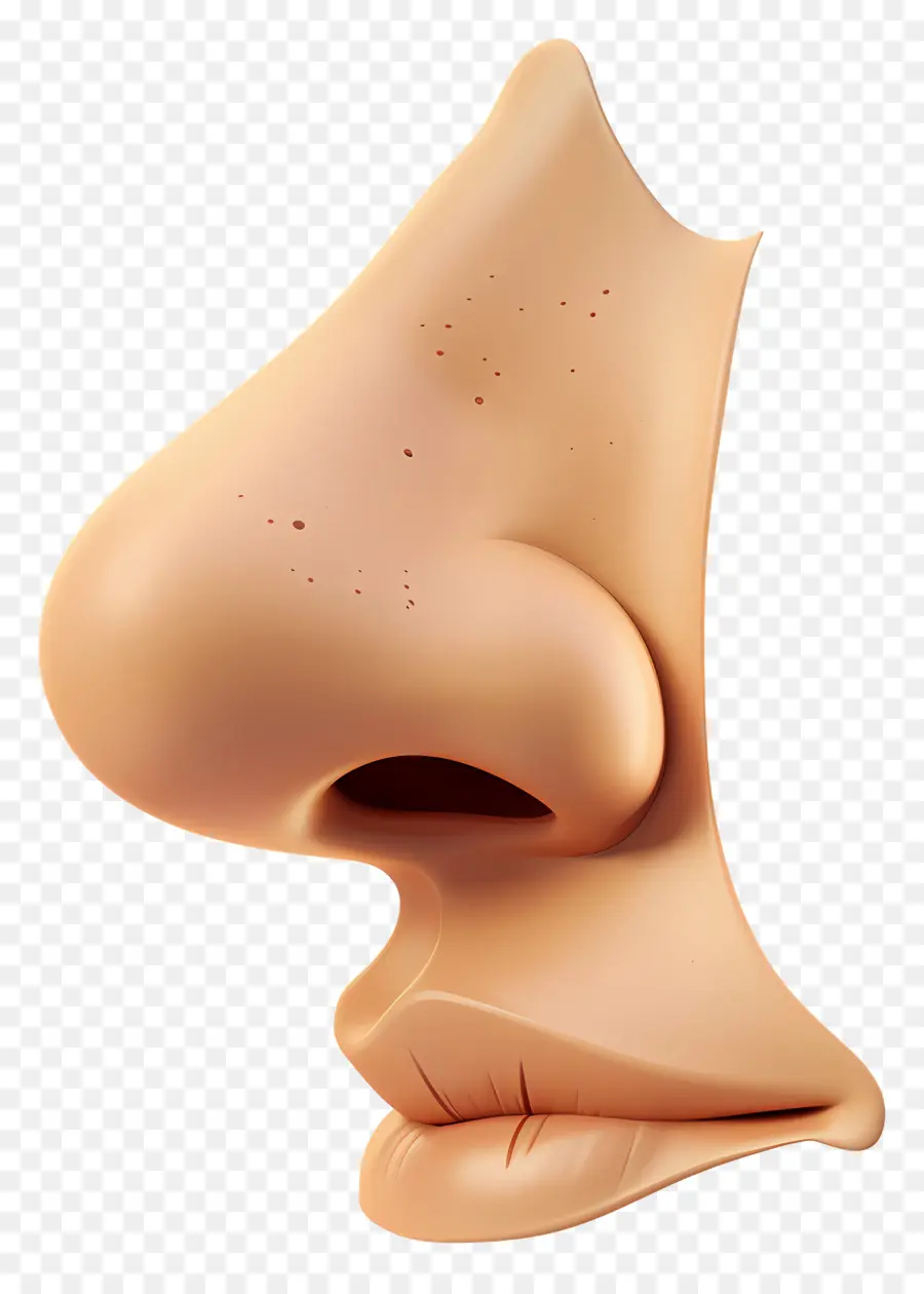 клипарт носа，мультфильм лицо PNG