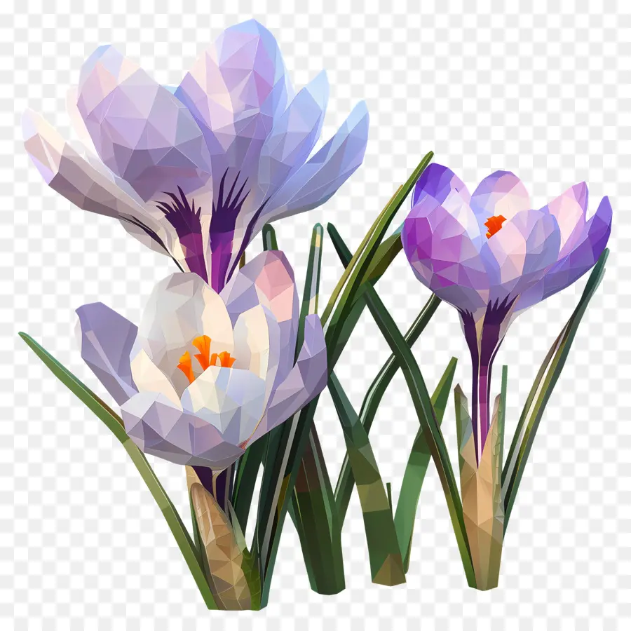цифровой цветок，фиолетовые крокусы PNG