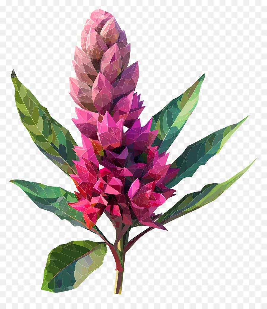 цифровой цветок，розовый цветок PNG
