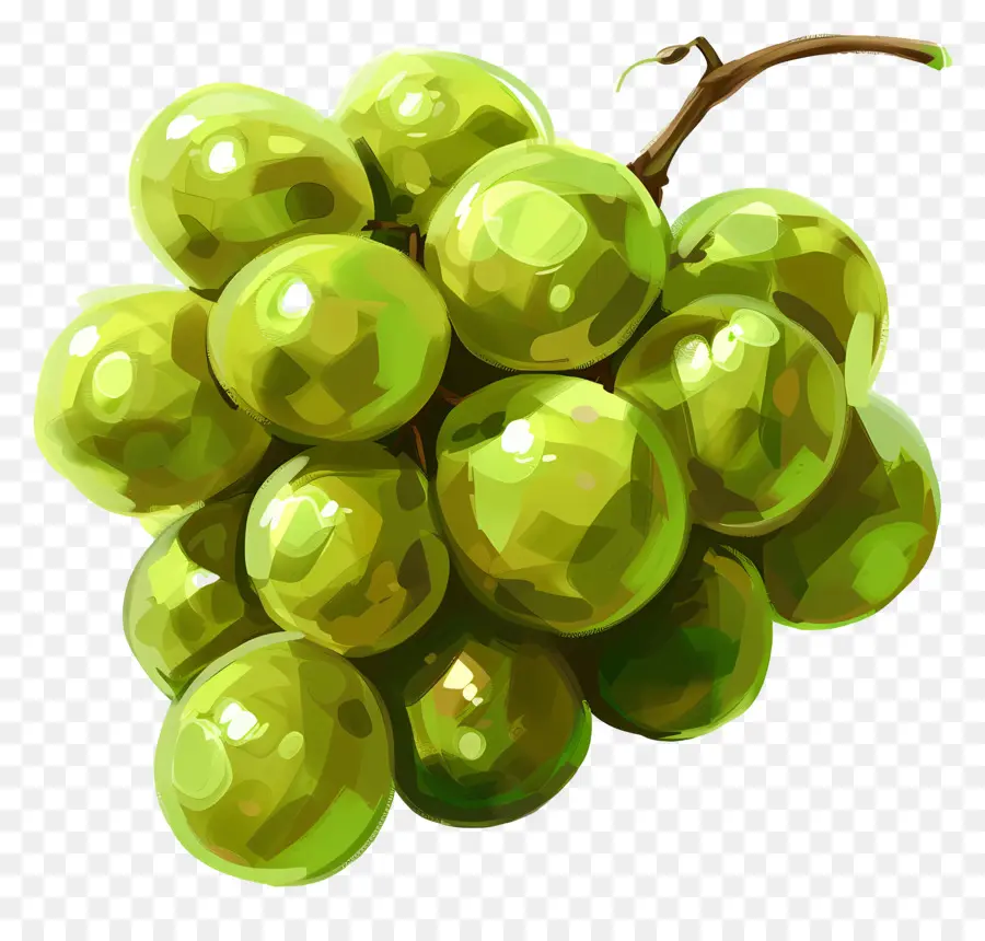 Зеленый виноград，свежие фрукты PNG
