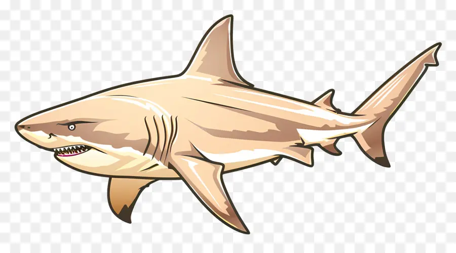 Бычья акула，мультфильм акула PNG