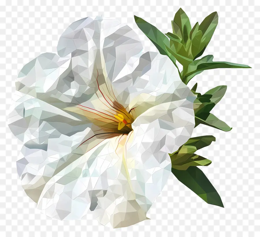 цифровой цветок，белый цветок PNG