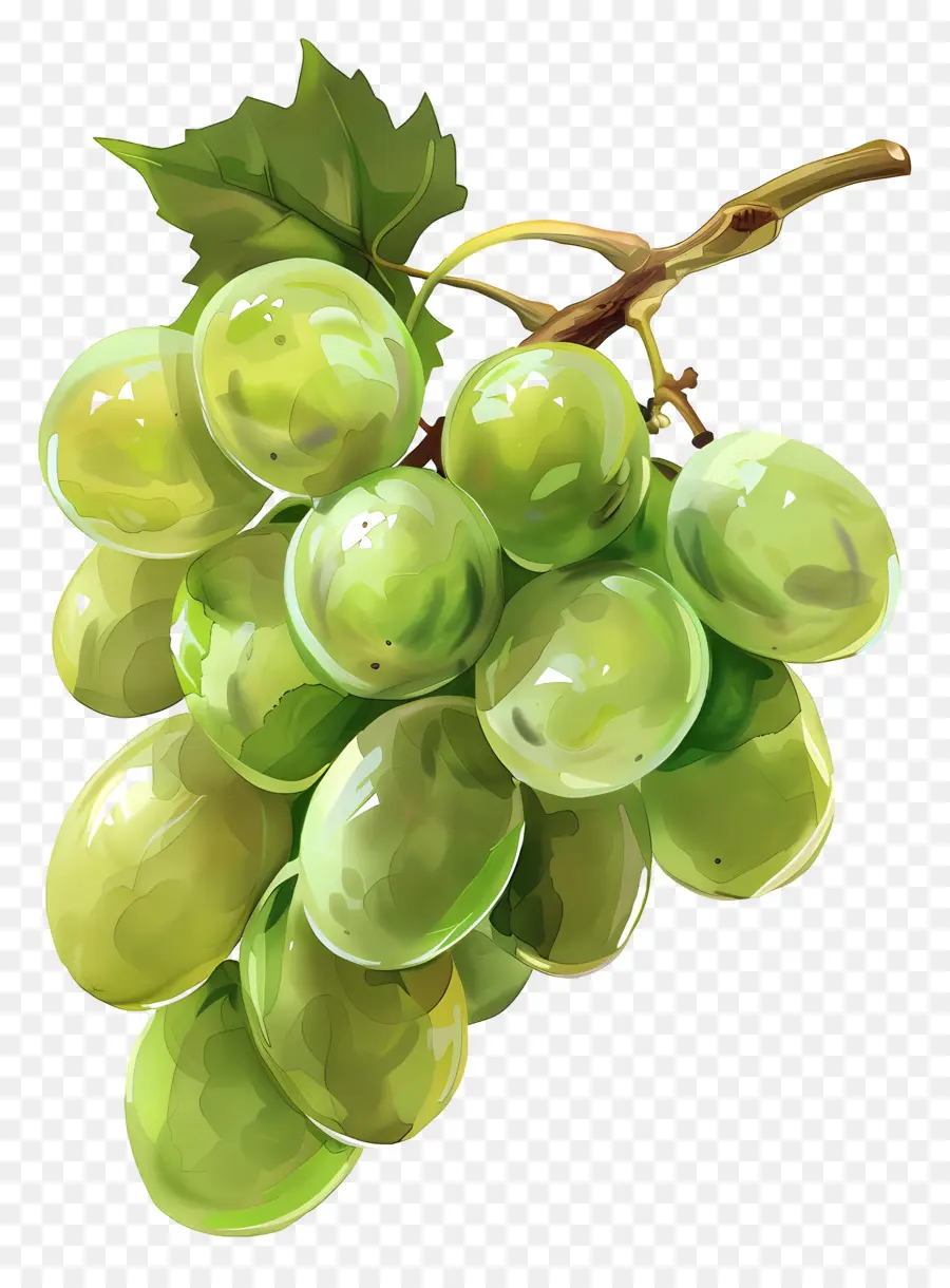 Зеленый виноград，Виноградный кластер PNG