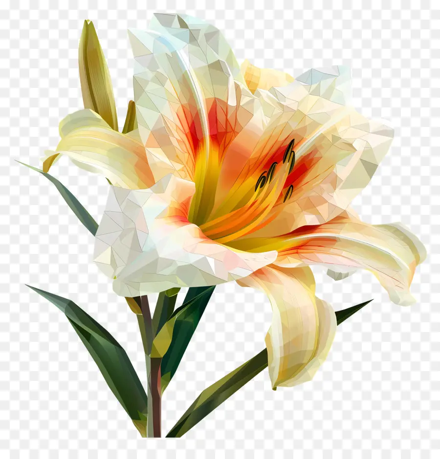 цифровой цветок，белая Лилия PNG