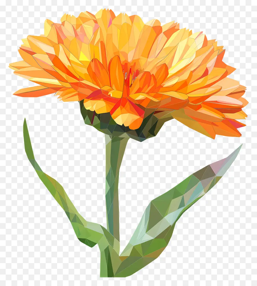 цифровой цветок，оранжевый цветок PNG