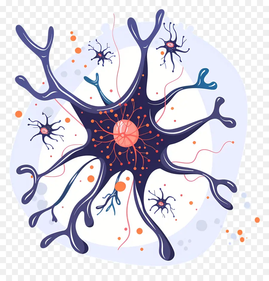 нейроны，Нейроглия PNG