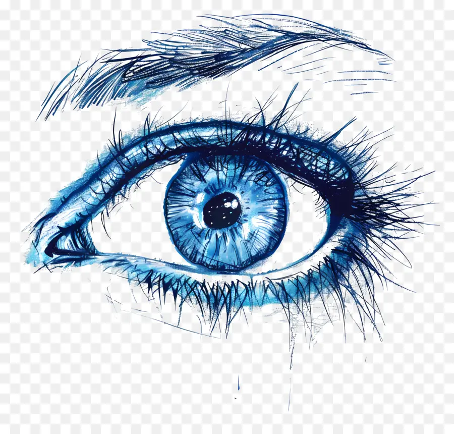 открытый глаз，синий глаз PNG
